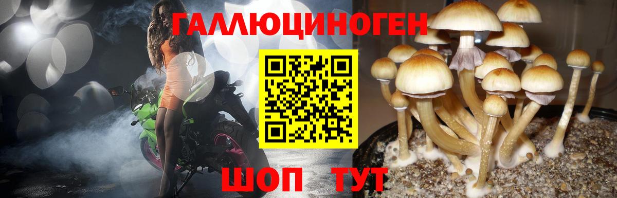 Галлюциногенные грибы прущие грибы  Вход с VPN  Галлюциногенные грибы Magic Shrooms  Сергиев Посад 